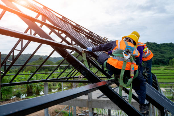 Best Roof Waterproofing Services  in La Cygne, KS